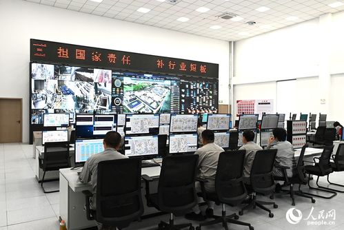 向智向綠，雙輪驅動 技術咨詢助力中國硅基材料產業破局前行